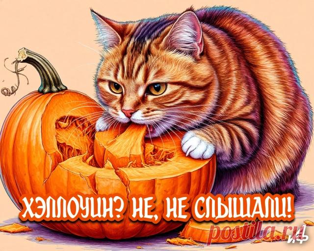 С Хэллоуином вас
Сегодня поздравляю
Всю нечисть мы светящейся
Тыквой распугаем. Открытки на Хеллоуин!