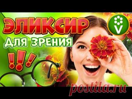 Цветы бархатцы ДЛЯ ЗРЕНИЯ! Как сделать лютеиновую настойку.