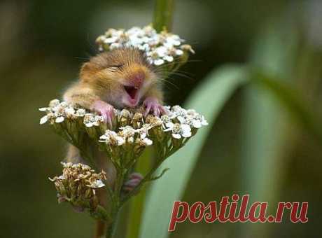 Мой Мир@Mail.Ru