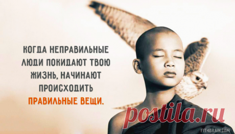 (1) Фитнес для мозга добавил(-а) новое фото. - Фитнес для мозга