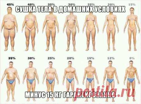 Идеальная Хозяюшка СУШКА