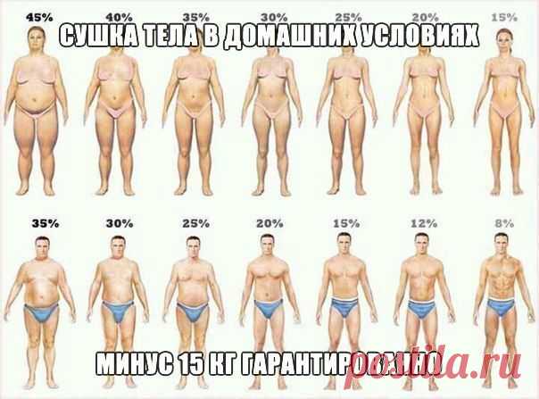 Идеальная Хозяюшка СУШКА