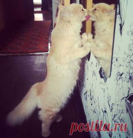 Любовь к себе всегда взаимна!