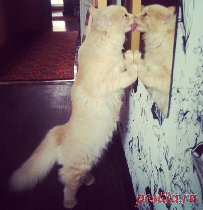 Любовь к себе всегда взаимна!