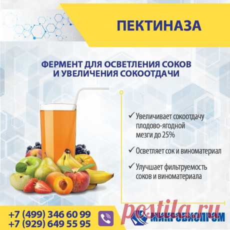 Пектиназа (полигалактуроназа, пектолаза) - пектолитический фермент для гидролиза (расщепления) растительных полисахаридов пектинов (пектиновых веществ). Эти вещества обычно содержатся в растениях не в свободном виде, а в виде сложного комплекса, известного под названием протопектин. Пектиновые вещества образовывают гелеобразную массу и удерживают сок, препятствуя его отделению. Особенно сложно получить соки без мякоти из сырья с высоким содержанием пектина (сливы, крыжовник, черная смородина).