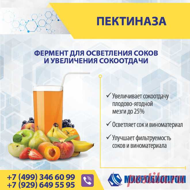 Пектиназа (полигалактуроназа, пектолаза) - пектолитический фермент для гидролиза (расщепления) растительных полисахаридов пектинов (пектиновых веществ). Эти вещества обычно содержатся в растениях не в свободном виде, а в виде сложного комплекса, известного под названием протопектин. Пектиновые вещества образовывают гелеобразную массу и удерживают сок, препятствуя его отделению. Особенно сложно получить соки без мякоти из сырья с высоким содержанием пектина (сливы, крыжовник, черная смородина).