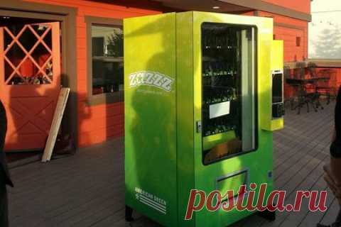 Кондрашов А.А. Этому не учат в школе! Шок!!!.