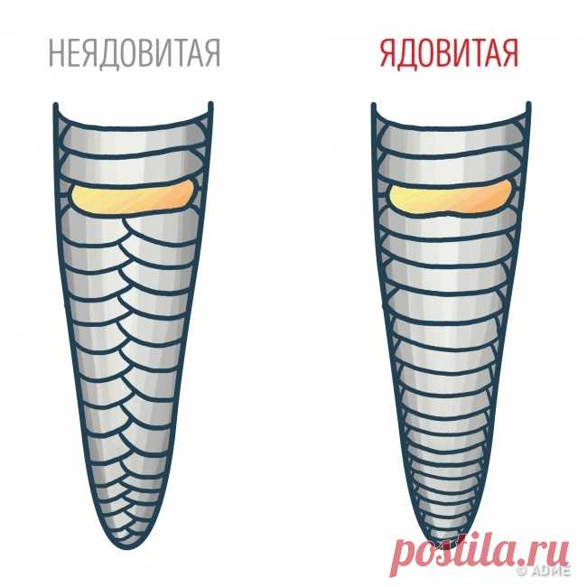 Знание этих 15 фактов однажды может спасти вашу жизнь 





Каждый из нас знаком с самыми главными правилами безопасности. Однако бывает так, что, столкнувшись с неожиданными обстоятельствами, мы теряемся и не сразу понимаем, что нужно делать.


Знайте п…