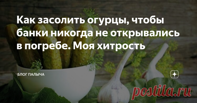 Как засолить огурцы, чтобы банки никогда не открывались в погребе. Моя хитрость Засолка огурцов – не такое простое дело, как кажется. Иногда банки взрываются и труд хозяйки пропадает даром. Ниже я расскажу о тех хитростях, которые применяются мной при консервировании.
