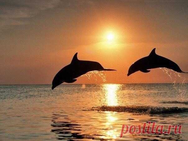 Cлабые скажут 