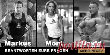 WeiderShop | Nutrition for Champs!