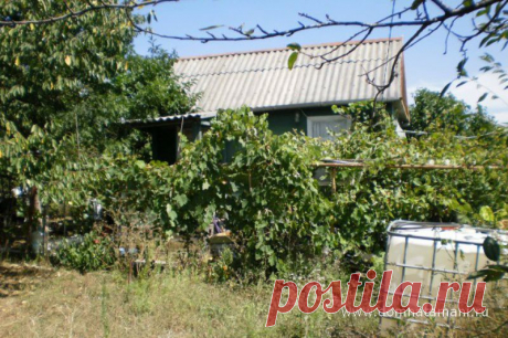 Дача 20 м.кв. на участке 6 сот. в Глебовском Новороссийска, Экспресс 2 СНТ » ДОМА НА ЮГЕ