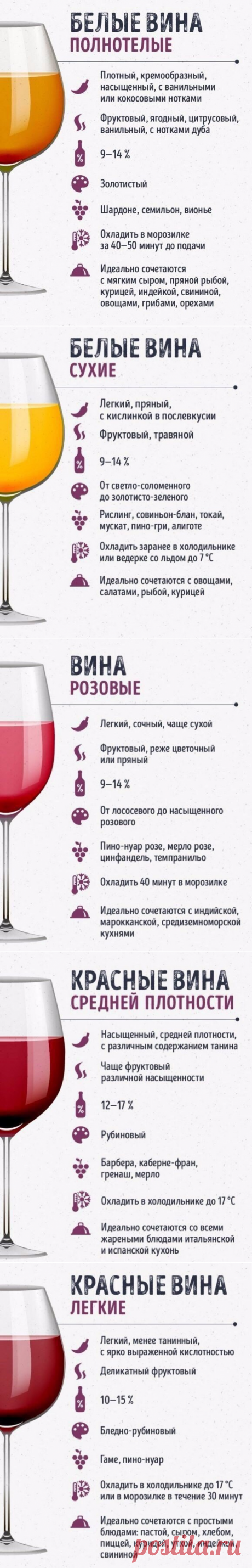 Шпаргалки для тех, кто любит вино