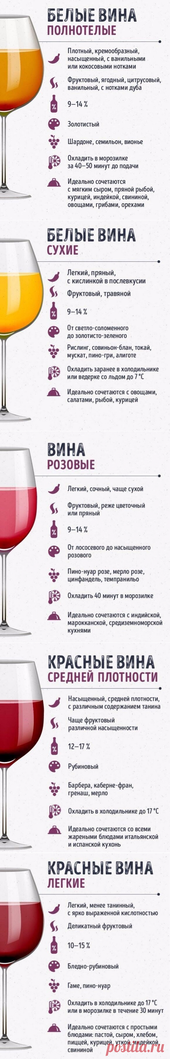 Шпаргалки для тех, кто любит вино