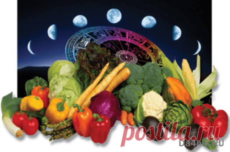 Какие знаки зодиака самые плодородные и благоприятные для посева? | 6 соток