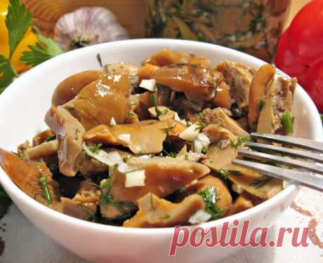 МАРИНОВАННЫЕ РЫЖИКИ, ГРУЗДИ.

Оксана Викулова

Если у Вас грузди, подгруздки: Грибы очистить, промыть и замочить в воде на трое суток, воду менять 2 раза в день. Потом отварить и замариновать.

Если у Вас рыжики: Очищенные и промытые грибы отварить в воде 20 минут. Затем воду слить, грибы промыть и выложить в дуршлаг.

Маринад:
На 1 л. воды
Соль - 5 ч. лож.
Сахар -3 ч. лож.
Уксус 9%- 2 ч. лож.
Черный молотый перец по вкусу

Отварные грибы поместить в маринад, отварить 10 м...