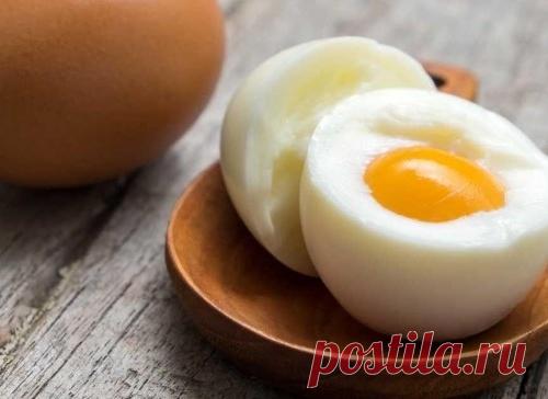 Яйцо в день — и на весы будешь вставать с радостью
