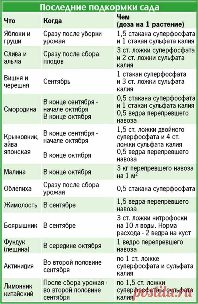 Последние подкормки сада