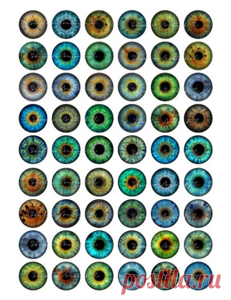 (13) Pinterest