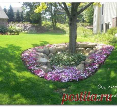 Клумба... под деревом