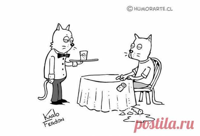 Карикатурист из Чили классно шутит без слов: сначала думаешь, что к чему, потом улыбаешься | Супер! | Яндекс Дзен