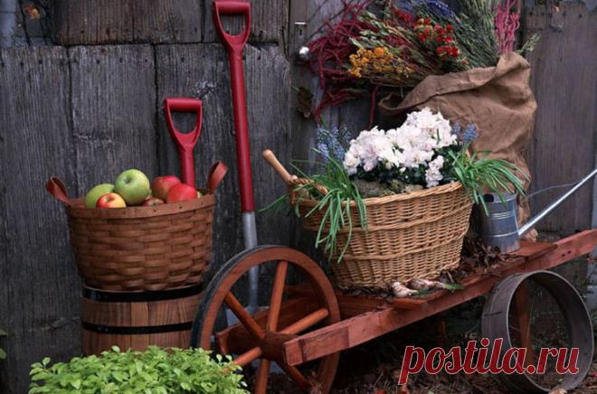 Лунный календарь садовода-огородника на ноябрь 2016 год