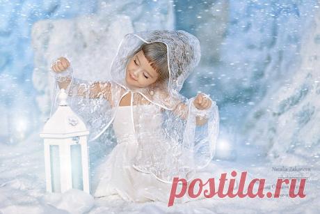 Фотограф Наталья Законова