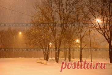 A snowy street with a few trees and street lights at winter nigth. Парк имени 50-летия Октября ночью зимой. Стоковое фото, фотограф Ilaronsia / Фотобанк Лори