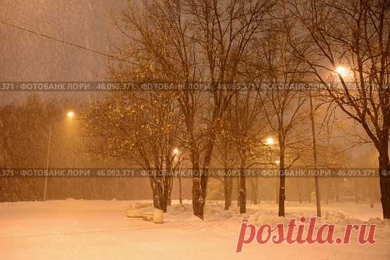 A snowy street with a few trees and street lights at winter nigth. Парк имени 50-летия Октября ночью зимой. Стоковое фото, фотограф Ilaronsia / Фотобанк Лори