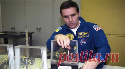 «СТРАНА.ua»: в Киеве найден мёртвым сын первого космонавта Украины Каденюка. Сын первого космонавта Украины Леонида Каденюка Дмитрий обнаружен мёртвым со следами порезов на теле и ножом в руке в своей квартире, пишет издание «СТРАНА.ua». Читать далее