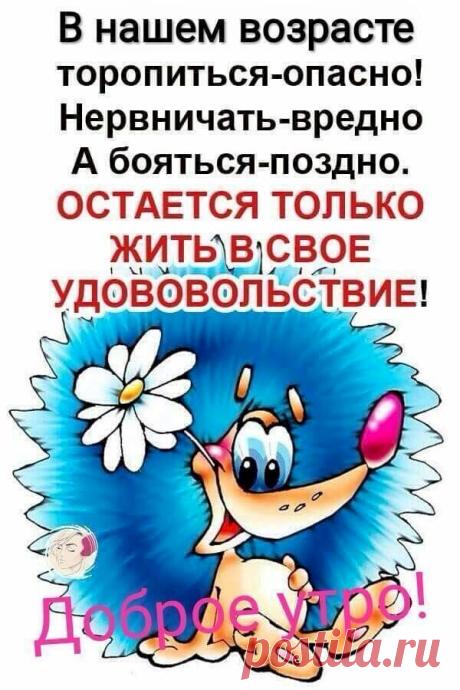 Выпуск №4204 - выпуск анекдотов сайта вокруг смеха