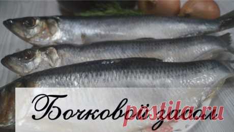 Засолка сельди в банке (Настоящий бочковой засол)