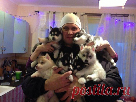 мои крохи