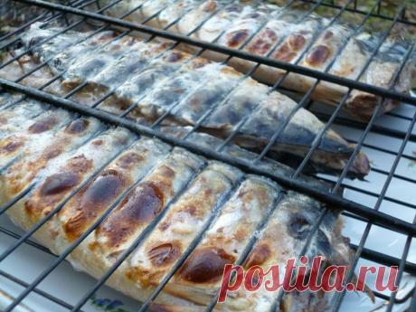 Скумбрия на мангале. Рецепт с фото. Пошаговые фотографии. Gurmel