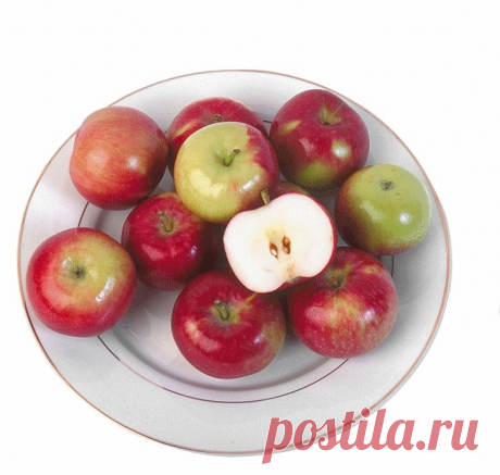 клипарт «дары природы