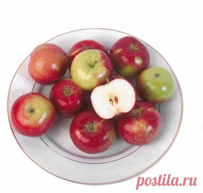 клипарт «дары природы