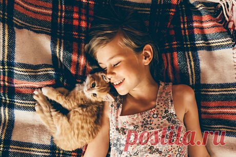 7 периодов жизни домашней кошки по человеческих меркам | Приключения натуралиста | Яндекс Дзен