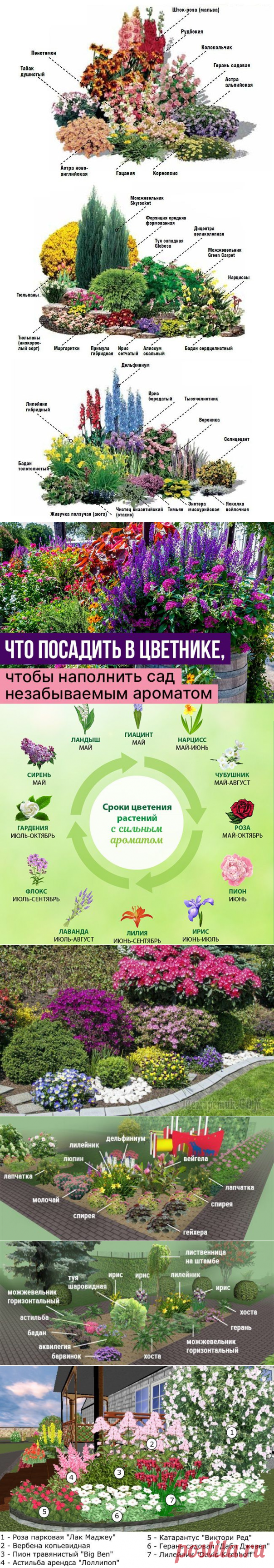 (383) Pinterest