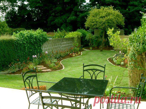 Идеи газонов.