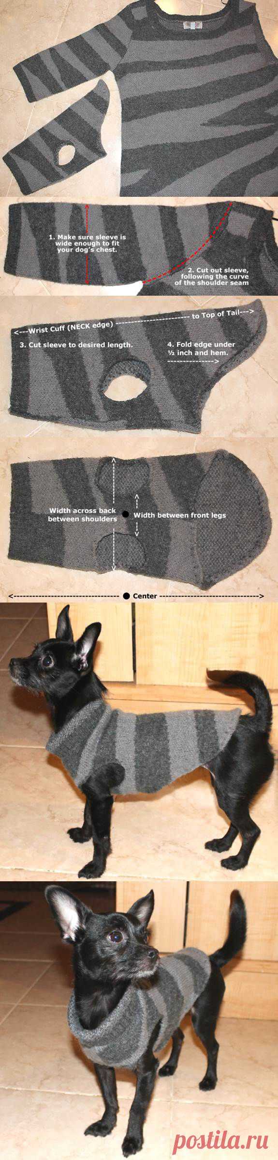 DIY Dog Sweater from a Used Sweater Sleeve | LovePetsDIY.com