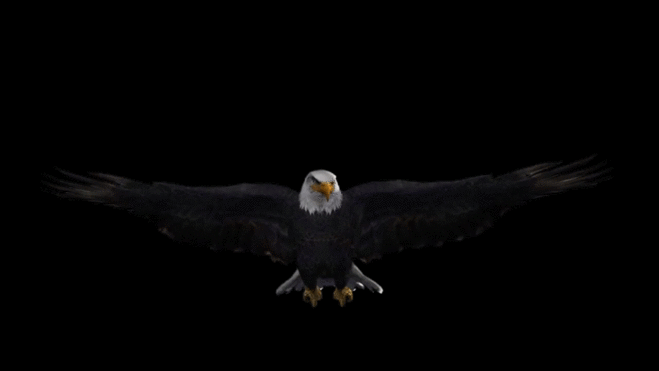 Эффекты для анимации - Анимационные картинки - Открытки