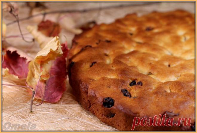 Творожный пирог с изюмом (Пиццамейкер Princess 115000) - Хлебопечка.ру