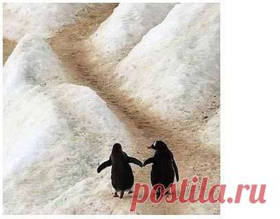 лана: Крепка бывает та семья,где крест стоит на слове "Я",где правит слово "мы",где есть совместные мечты,где есть достаток и уют,где дети весело снуют,где вечно вспыхивает вновь такая страстная любовь!!!