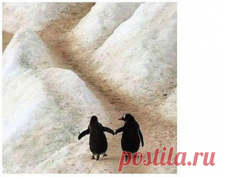 лана: Крепка бывает та семья,где крест стоит на слове "Я",где правит слово "мы",где есть совместные мечты,где есть достаток и уют,где дети весело снуют,где вечно вспыхивает вновь такая страстная любовь!!!