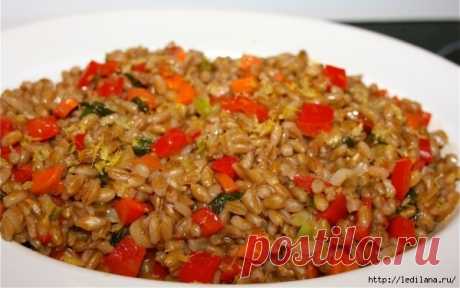 5 рецептов вкусных и полезных блюд из перловки
