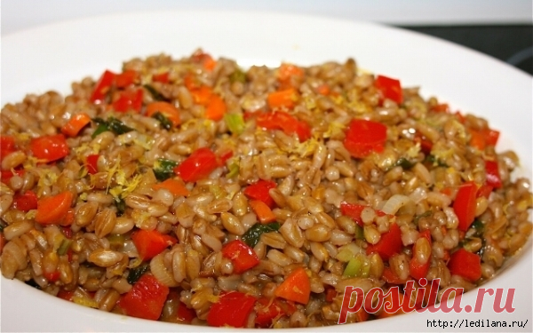 5 рецептов вкусных и полезных блюд из перловки