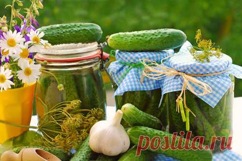 Огурцы на зиму: 10 вкусных рецептов