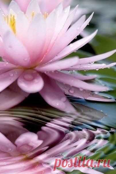 Pinterest