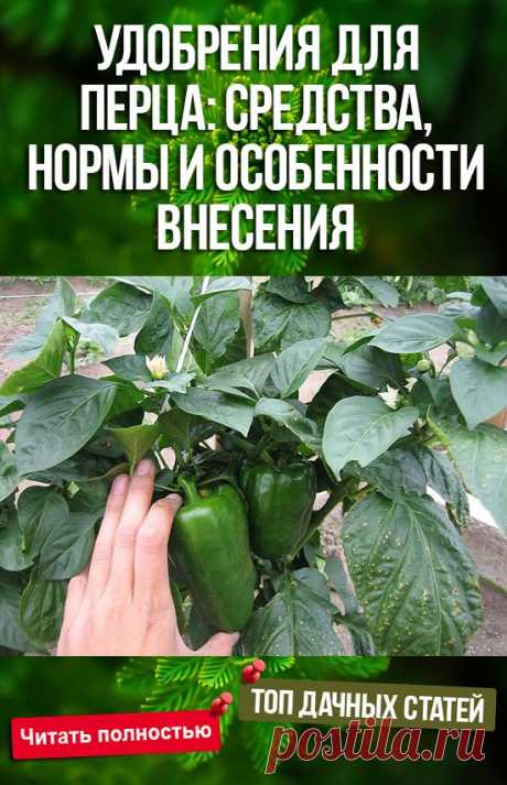 (2242) Pinterest