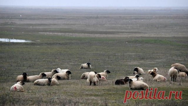 (2) Людмила Васькович - Петрозаводск, Карелия, Россия, 70 лет на Мой Мир@Mail.ru